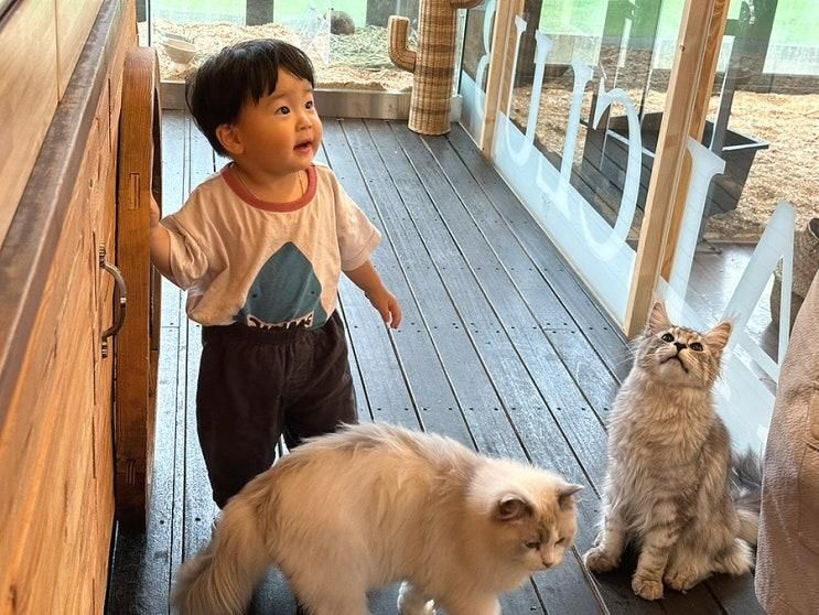 좋은 용인 수지구 실내 동물원+키즈카페 / 애니멀클럽 수지점