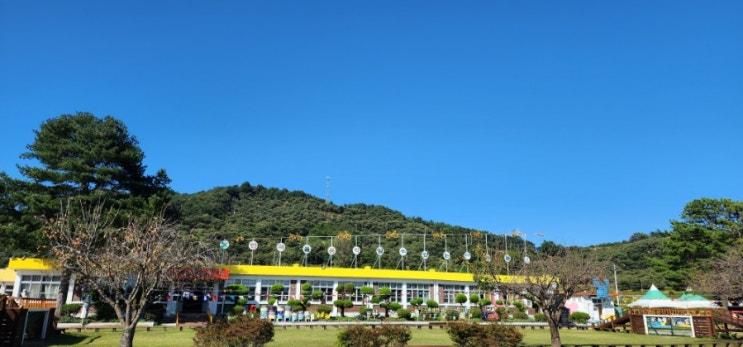 [현장체험학습사전답사]부여땅 자연미술학교