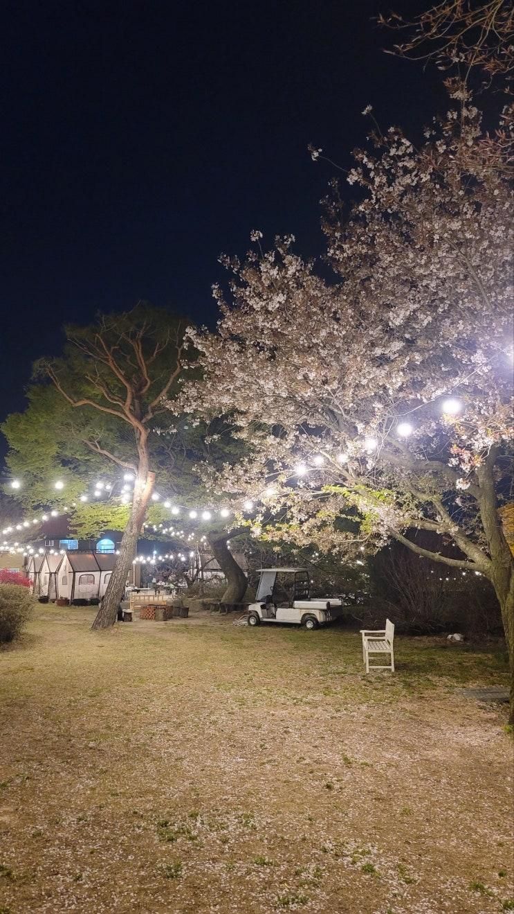 충남홍성예산, 아이들이... 야외캠핑장 '스타바베큐...