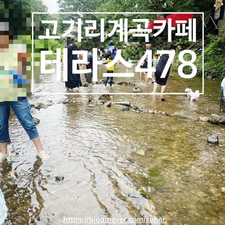 아이랑 가기 좋은 용인 고기리계곡 베이커리맛집 테라스478...