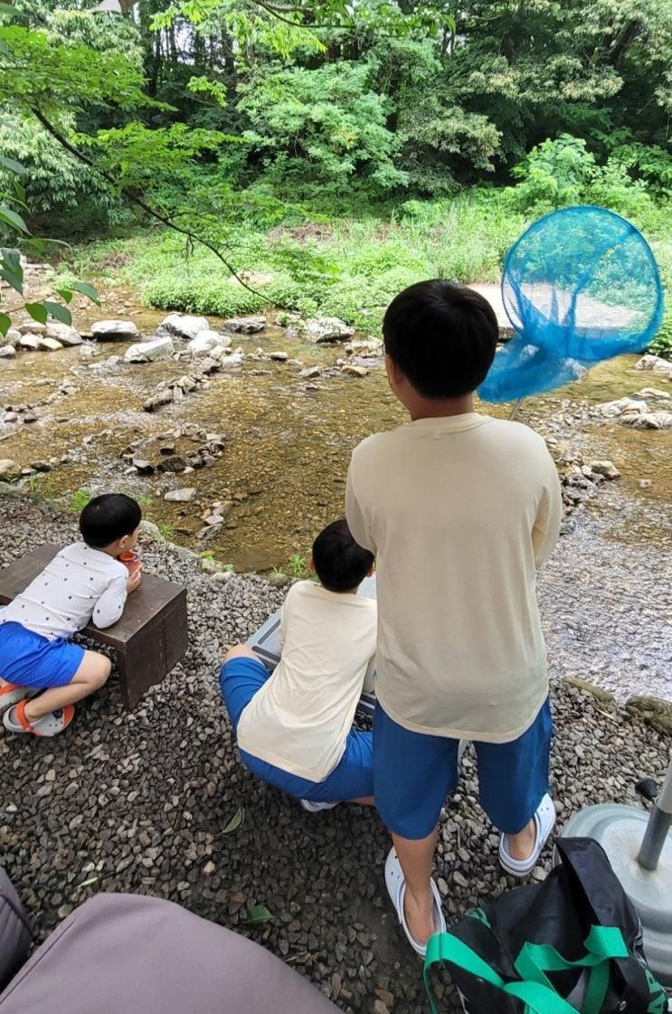[아이와 함께] 용인 고기리 계곡 물고기잡기 체험 (테라스478...