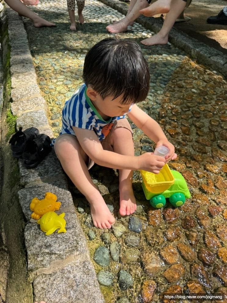 아기랑 무료 물놀이+숲 놀이터(네트 어드벤처), 상소동 산림욕장