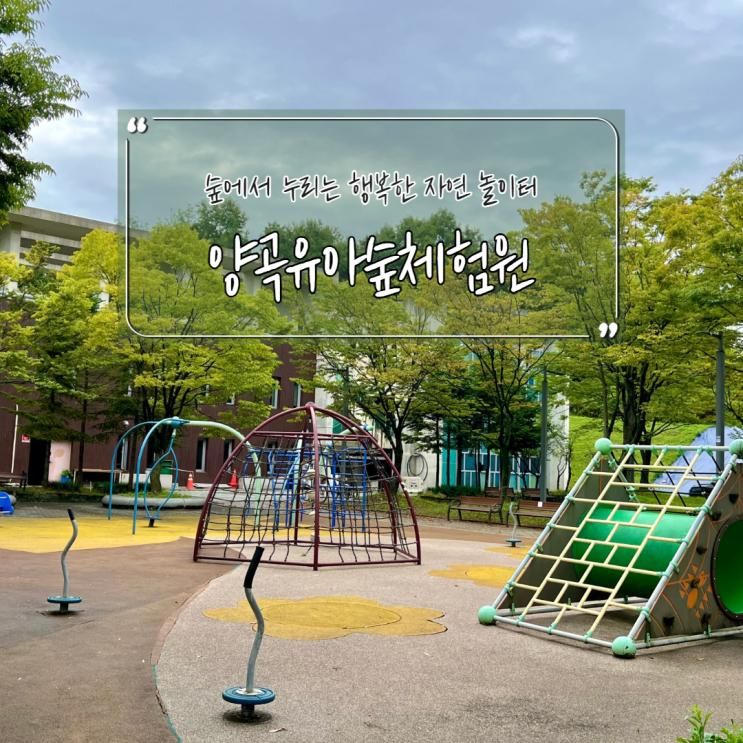 숲에서 누리는 행복한 자연 놀이터 양곡행복유아숲체험원