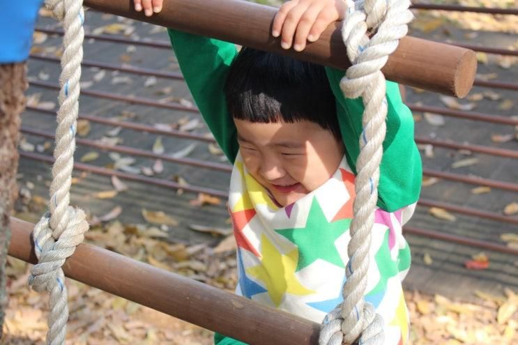 김포 양곡 유아숲 체험원 아이와 가볼 만한 곳 추천
