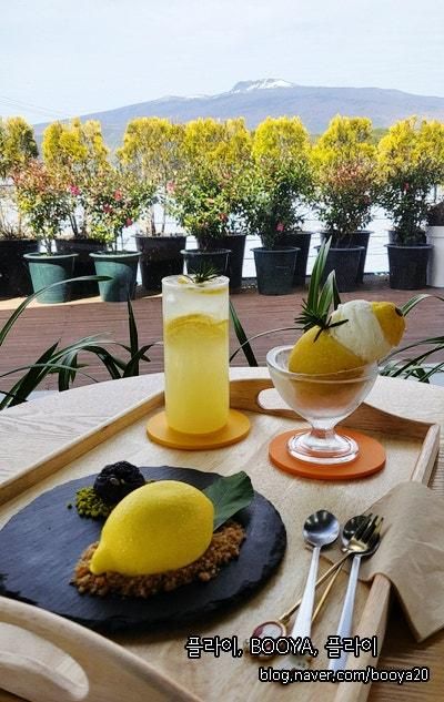 [2025.3] 제주: 베케 (도슨트) & 레몬뮤지엄