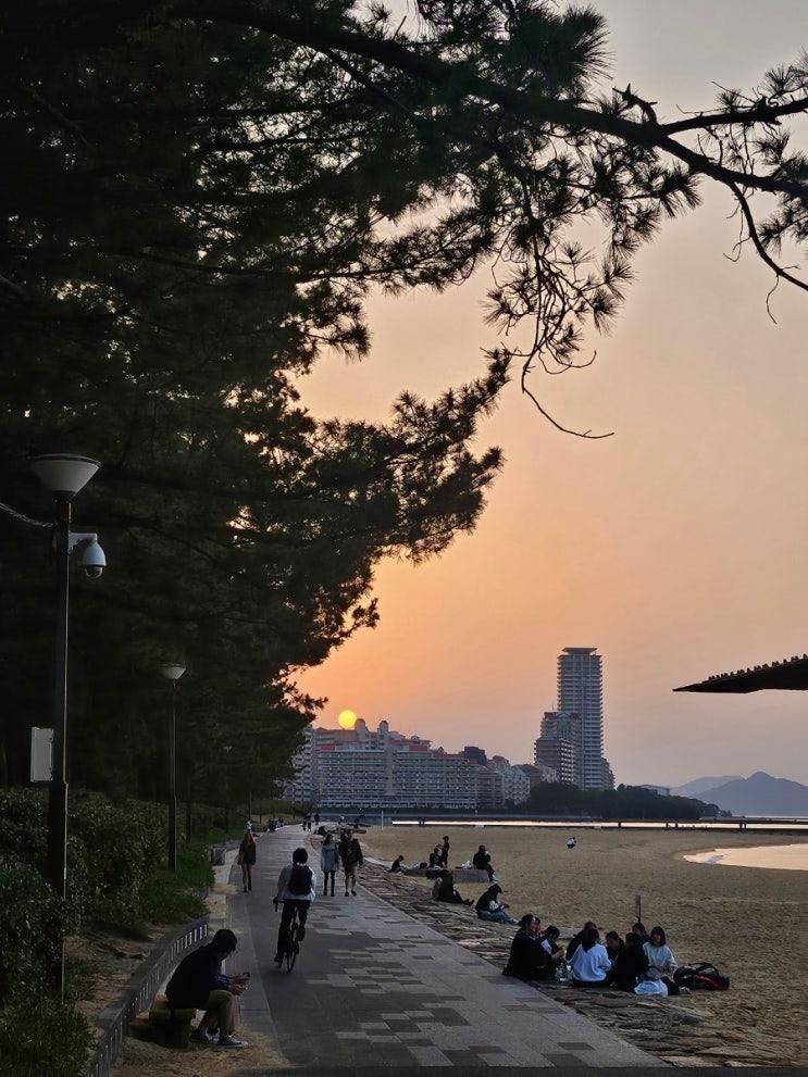 마이즈루공원&오호리공원... 시사이드모모치해변공원...
