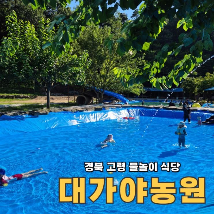 경북 고령 물놀이 식당 대가야농원 수영장