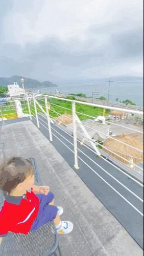 추천 아이와 함께한 애견동반카페 "카페109하우스" 방문 후기