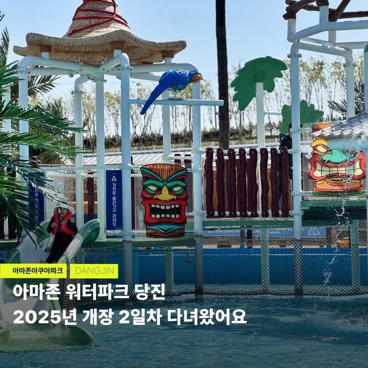 당진 워터파크 아마존 아쿠아파크 당진 개장 카바나 이용꿀팁