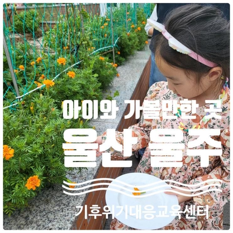 울산기후위기대응교육센터 - 아이와 함께 주말 보내기 좋은 곳