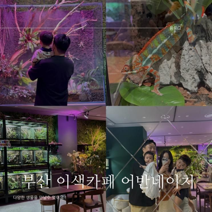 부산 이색데이트 카페 체험 아이랑 실내 센텀 어반네이처