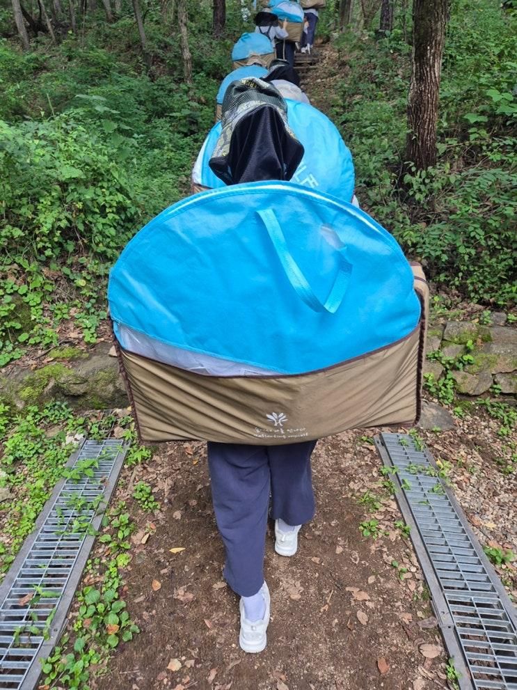 강원도 홍천 힐리언스 선마을에서 숲캉스!