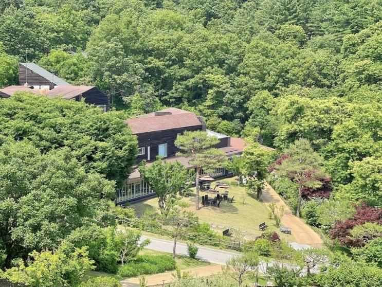 국내휴양지 애견동반 홍천숙소 힐리언스 선마을 힐링여행 추천
