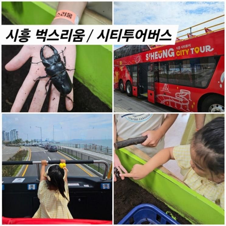 경기도 시흥 시티투어 2층버스 무료탑승 벅스리움 곤충체험...