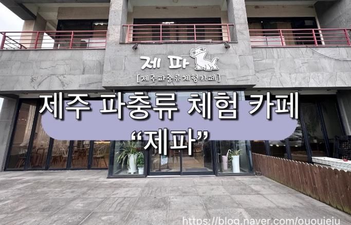 제주 파충류카페 제파 후기｜아이들과 제주 실내 가볼만한 곳...