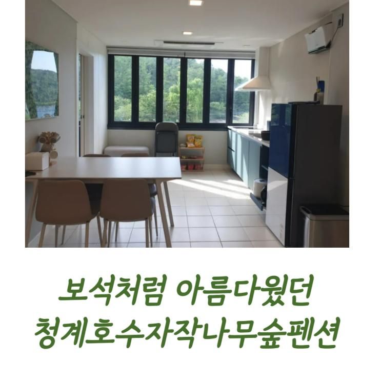 같은 곳/ 청계호수 자작나무 숲 펜션 /포천 풀빌라 가족 펜션 추천