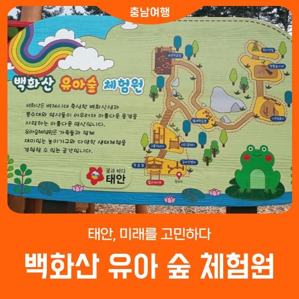 아이와 함께 태안여행 '백화산 유아숲 체험원'
