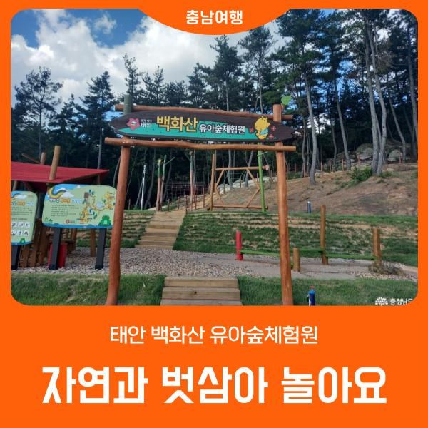 친환경 놀이터 l 태안 백화산 유아숲체험원