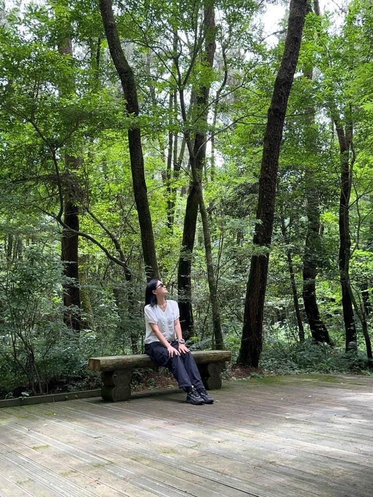 제주도 동쪽 오름 추천 붉은오름 자연휴양림
