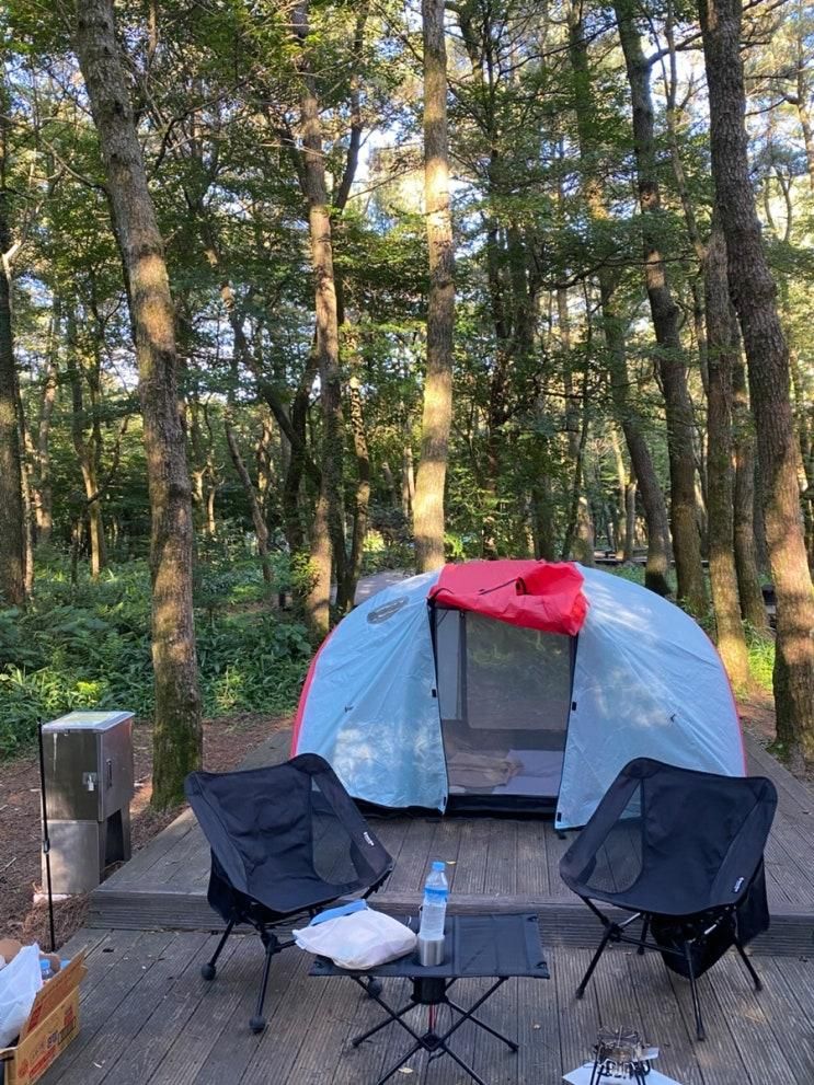 7월 캠핑 : 제주도/ 붉은오름자연휴양림 /2박 3일