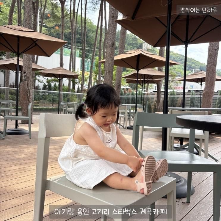 아기랑 용인 고기리 계곡카페 스타벅스 고기동유원지점 웨이팅...