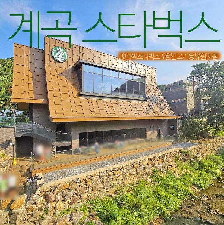 계곡 카페 용인 고기리계곡 스타벅스 용인고기동유원지점 주차