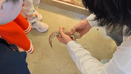 원주 아이랑 갈만한 곳 파충류카페 보스플레이스
