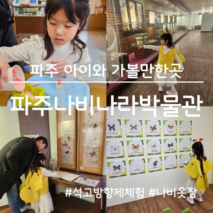 파주나비나라박물관, 파주 아이와 실내 가볼만한곳