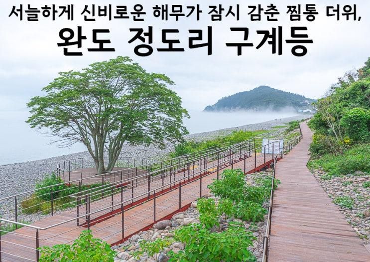 전남 완도 가볼만한곳 남해 바다 여름 여행 추천 정도리 구계등...