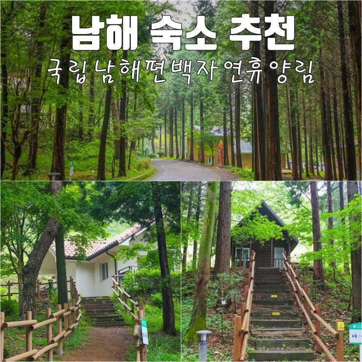 국립 남해 편백자연휴양림 남해 가성비 가족 숙소 추천