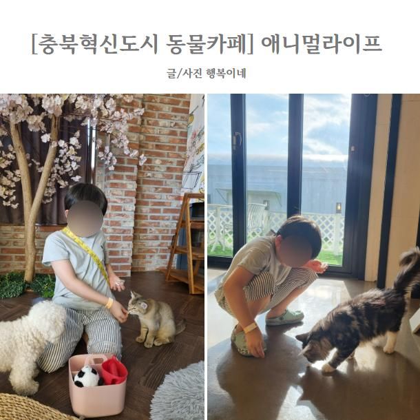 [충북혁신도시 이색동물카페] 애니멀라이프 :: 동물과 교감하며...