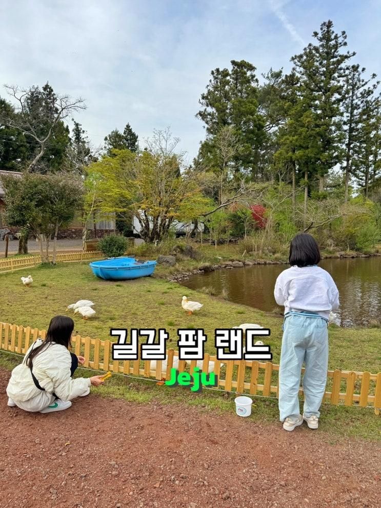 제주 아이와 가볼만한곳 먹이주기 목장체험 길갈 팜 랜드