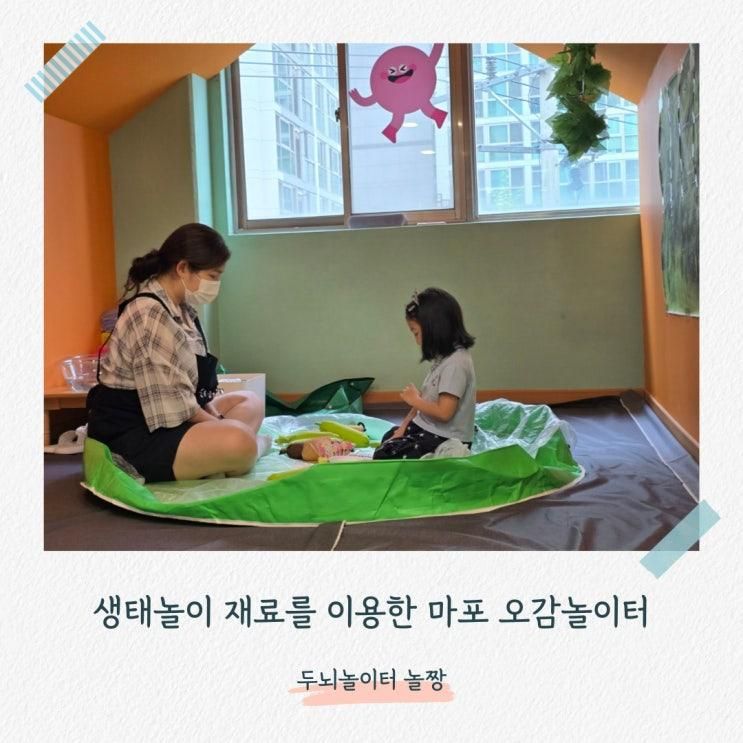 마포 실내놀이터 생태놀이 오감 두뇌놀이터 놀짱