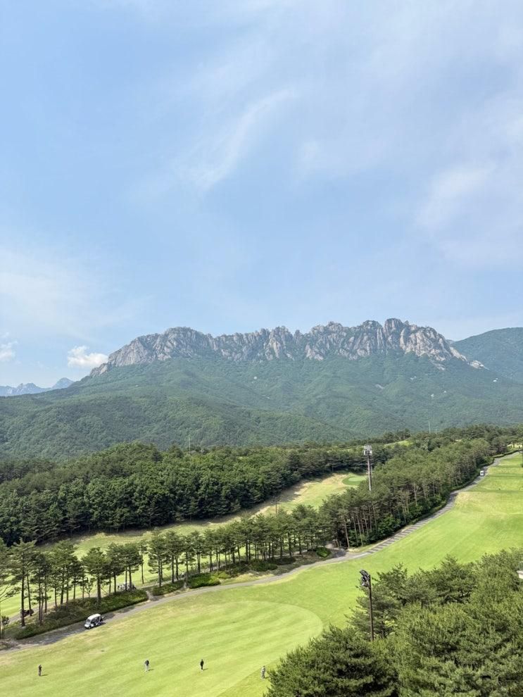 소노벨 델피노 리조트 west 스위트 스탠다드 취사룸 온돌방...