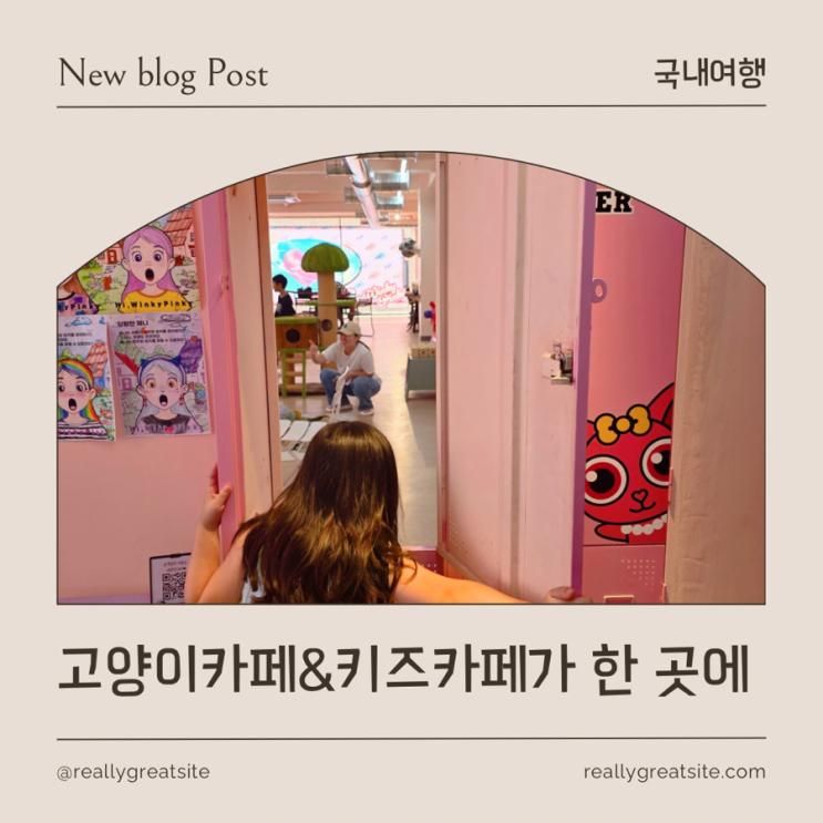키즈카페가 한 곳에 있는 말론하우스, 윙키핑키 : 내돈내산 리뷰