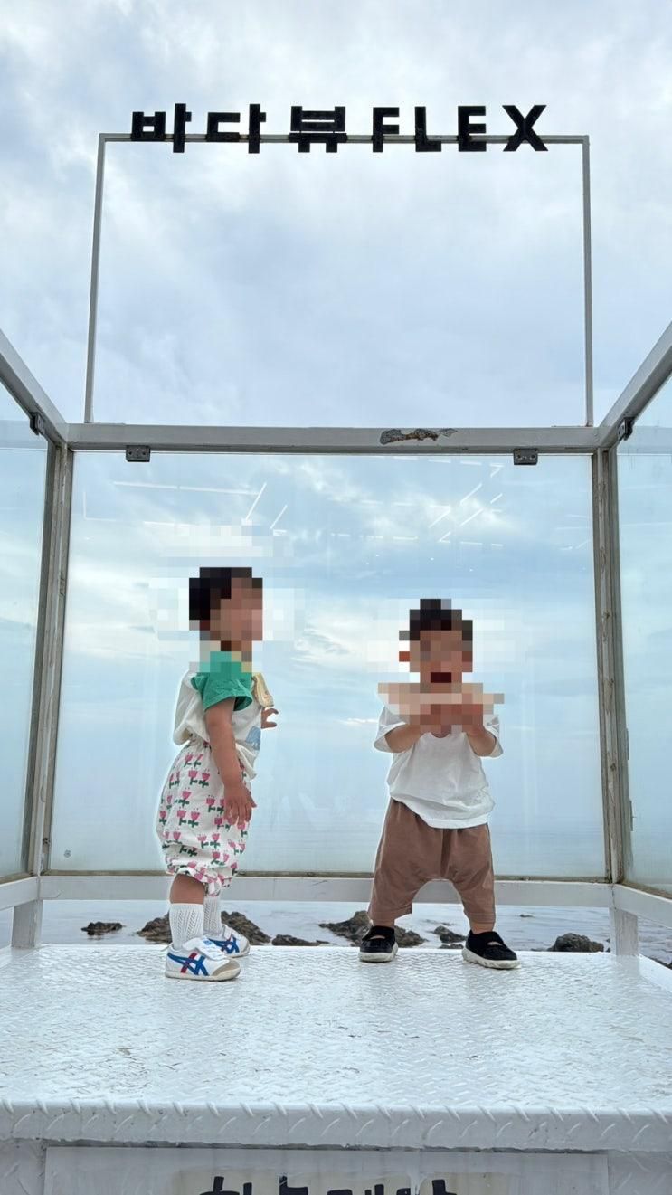 아기랑 다녀온 양양 ‘바다뷰제빵소’ 평일 방문 후기