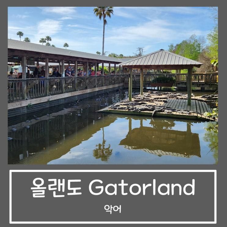 올랜도 아이들과 가볼 만한 곳 :: gatorland 게이터랜드 악어