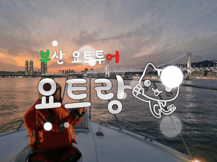 아이랑 부산 여행_해운대 야경 요트랑(카이브 연계 프라이빗...