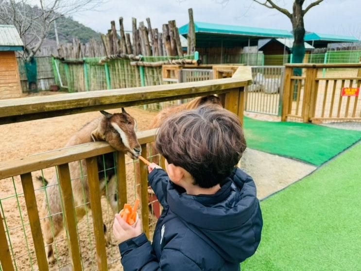 전남 아이와 가볼만한곳 함평 양서파충류생태공원 먹이주기 체험