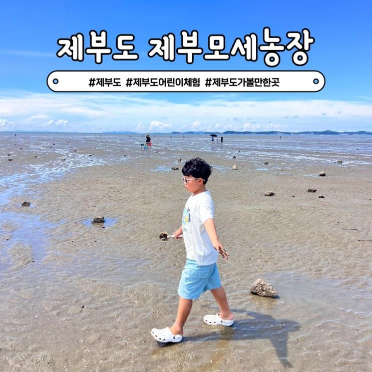 제부도 어린이체험 제부모세농장 농촌 새우 갯벌체험