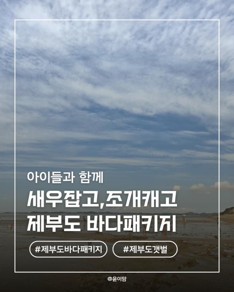 2025 제부도 바다패키지(제부모세농장+인근갯벌) : 새우도 잡고...