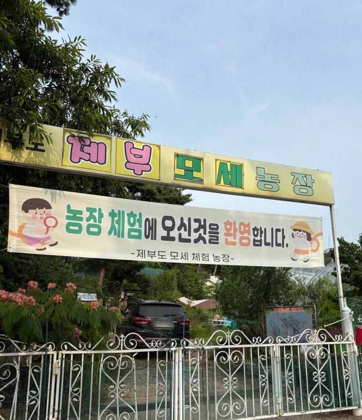 제부모세농장 주말체험 -새우잡이 프로그램 시작!