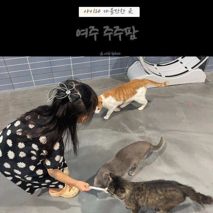 여주 아이랑 갈만한 곳 주주팜 가볍게 들리기 좋은 곳