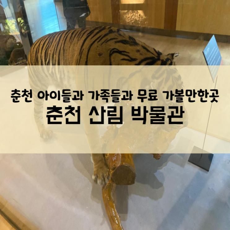 춘천 아이들 가족들과 여행 코스좋은 강원도 산림박물관