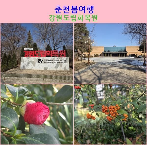 강원도 춘천 아이와 가볼만한곳 강원도립화목원 산림 박물관