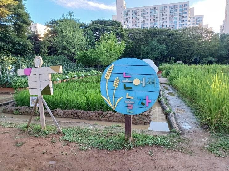 신트리공원 / 서울형 키즈카페 ‘양천구 신트리공원점’/ 논과...