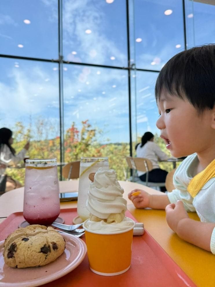 수원 대형카페 아기랑 데이지원 일월수목원 속 분위기 좋은...