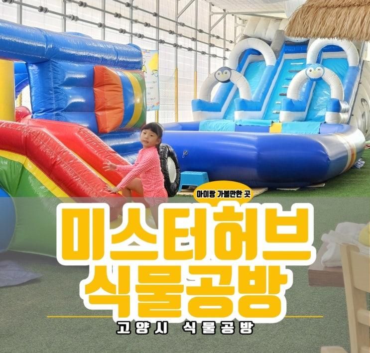미스터허브식물공방 고양시 아이랑 가볼만한 실내 수영장...