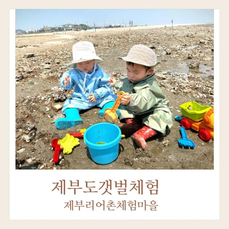 수원근교 제부도갯벌무료체험 제부리어촌체험마을 아기랑 준비물