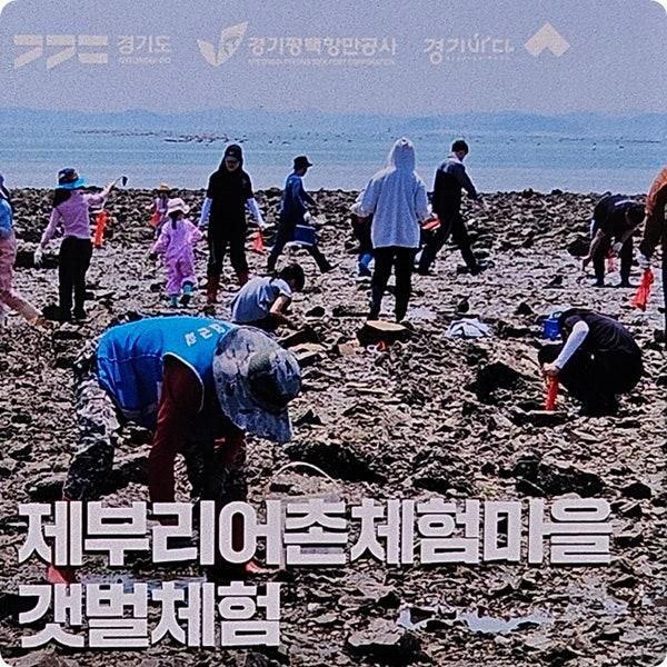 가볼만한곳 제부도 아이와 갯벌체험 제부리 어촌체험마을
